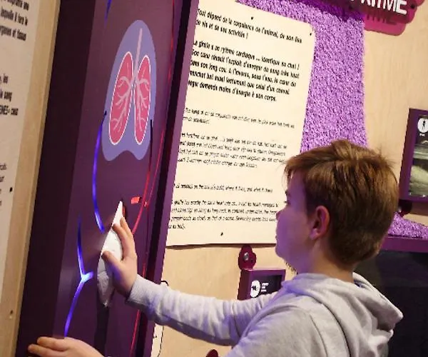 Le Hébergement de vacances *